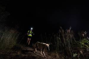 BIB: 6114
                            <button type="button" onclick="openModal(16050357)" class="btn btn-primary btn-sm float-right btn-popup" data-toggle="modal" data-target=".modal-high-quality">
                        <i class="fas fa-shopping-cart"></i> Add to Cart
                    </button>
                                            <button type="button" onclick="isThisMe(16050357, true)" class="btn btn-success btn-sm float-right btn-popup btn-isme hidden" data-toggle="tooltip" data-placement="bottom" title="นี่คือรูปของคุณใช่ไหม คลิกที่นี่เพื่อเอาเข้าอัลบั้ม">
                        <i class="fas fa-plus"></i> Add to album
                    </button>
                    <button type="button" onclick="isThisMe(16050357, false)" class="btn btn-warning btn-sm float-right btn-popup btn-isnotme hidden">
                        <i class="fas fa-ban"></i> Remove from album
                    </button>